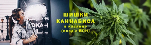 бошки Алзамай
