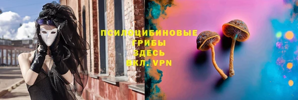 МДПВ Алексеевка