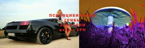МДПВ Алексеевка