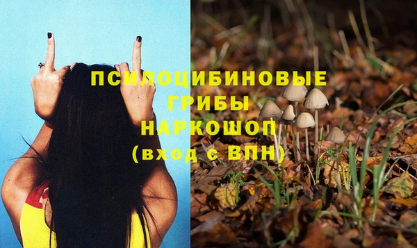 МДПВ Алексеевка
