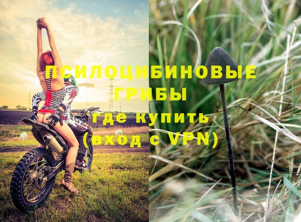 МДПВ Алексеевка